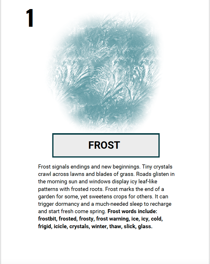 Digital Download: 2024 Writing Prompts - FREE This month!