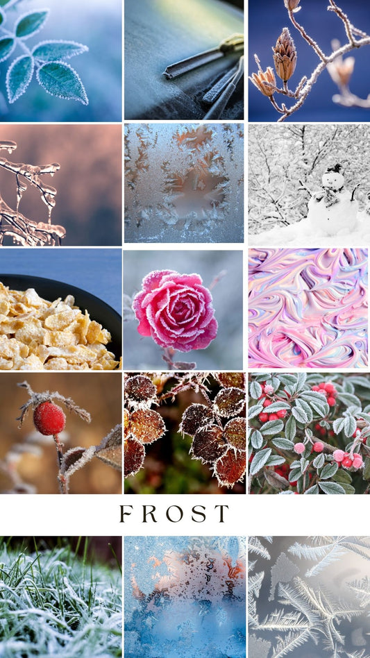 Grid image with 15 different photos of frost on leaves, a car windshield, flowers, cereal and rainbow cake frosting